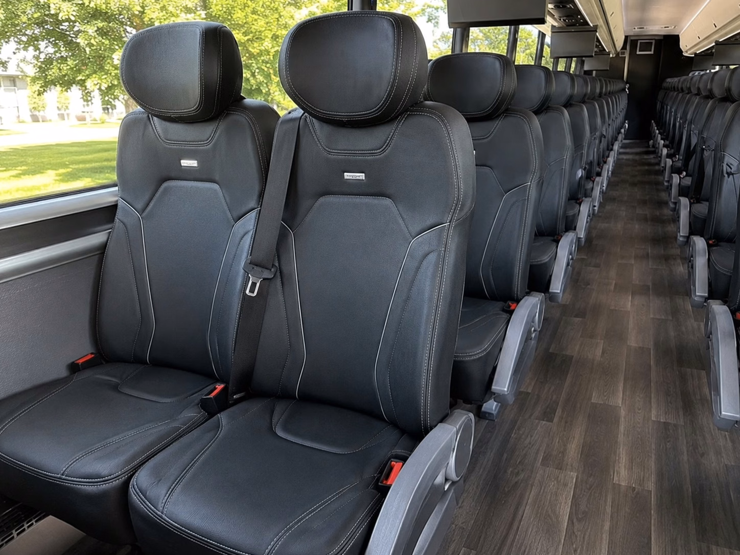 bachelorette party buses in springfield start the celebration early