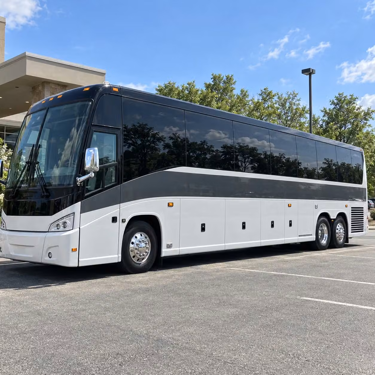 charterbusrentalspringfieldma com will help you find the right bus for your springfield prom venue