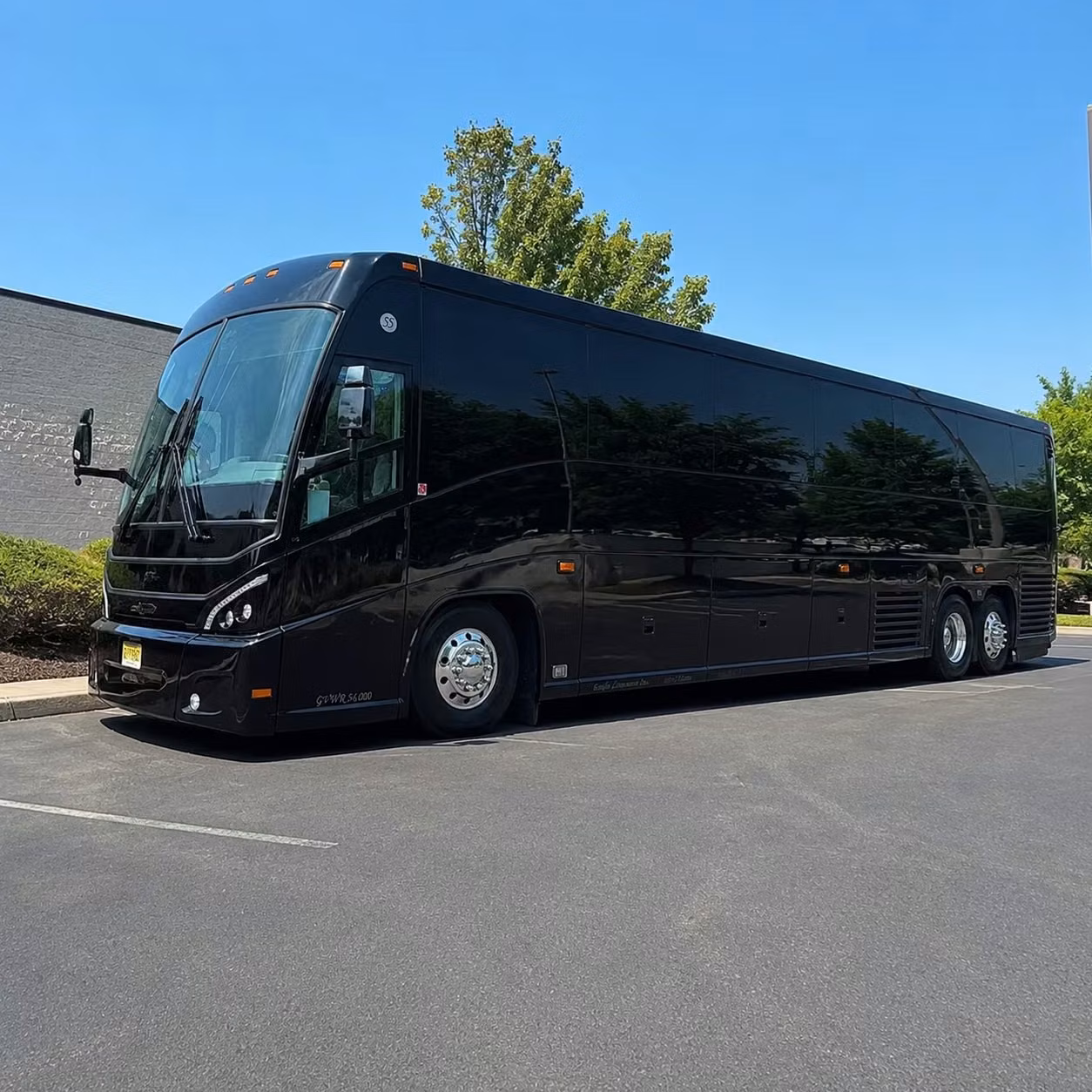 compare long distance transportation options in springfield and beyond